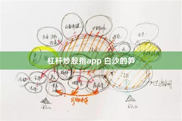 杠杆炒股指app 白沙的笋