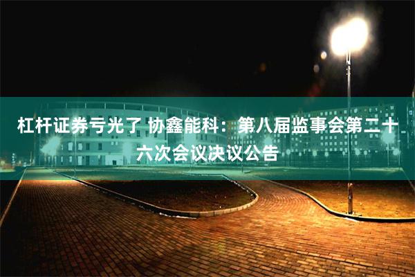 杠杆证券亏光了 协鑫能科：第八届监事会第二十六次会议决议公告