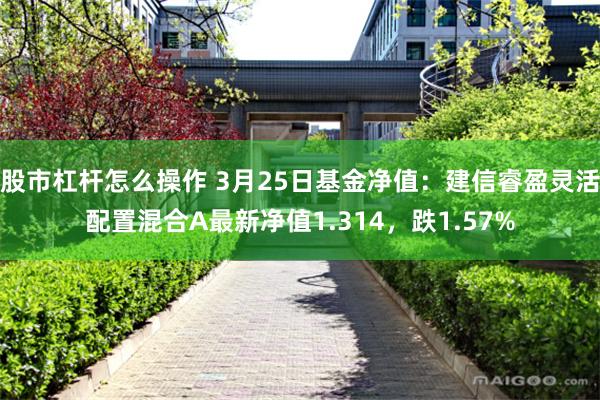 股市杠杆怎么操作 3月25日基金净值：建信睿盈灵活配置混合A最新净值1.314，跌1.57%