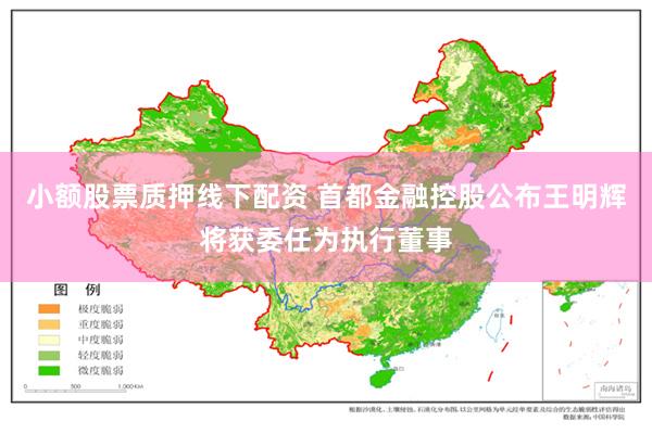 小额股票质押线下配资 首都金融控股公布王明辉将获委任为执行董事