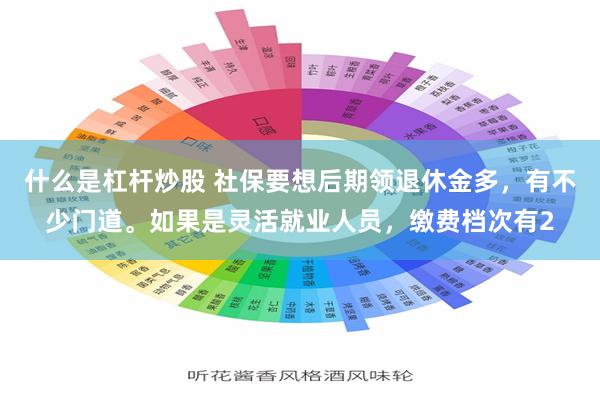 什么是杠杆炒股 社保要想后期领退休金多，有不少门道。如果是灵活就业人员，缴费档次有2