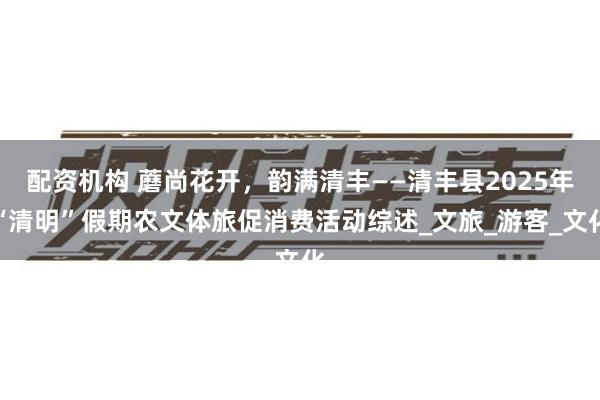 配资机构 蘑尚花开，韵满清丰——清丰县2025年“清明”假期农文体旅促消费活动综述_文旅_游客_文化
