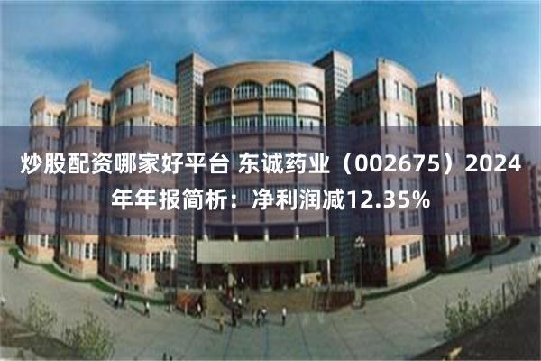 炒股配资哪家好平台 东诚药业（002675）2024年年报简析：净利润减12.35%