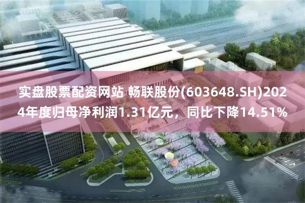 实盘股票配资网站 畅联股份(603648.SH)2024年度归母净利润1.31亿元，同比下降14.51%