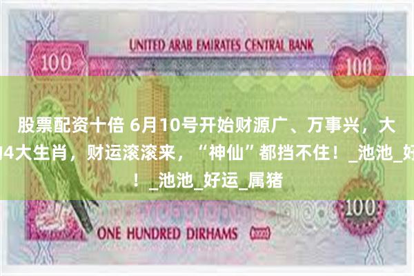 股票配资十倍 6月10号开始财源广、万事兴，大吉大利的4大生肖，财运滚滚来，“神仙”都挡不住！_池池_好运_属猪
