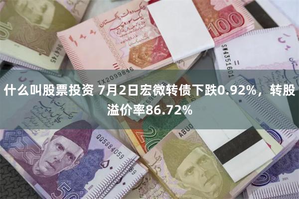 什么叫股票投资 7月2日宏微转债下跌0.92%，转股溢价率86.72%
