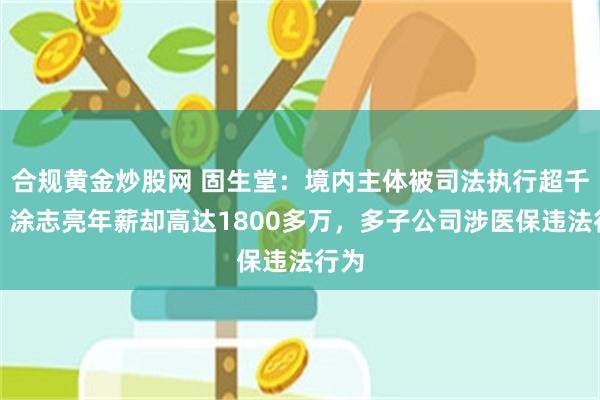 合规黄金炒股网 固生堂：境内主体被司法执行超千万，涂志亮年薪却高达1800多万，多子公司涉医保违法行为