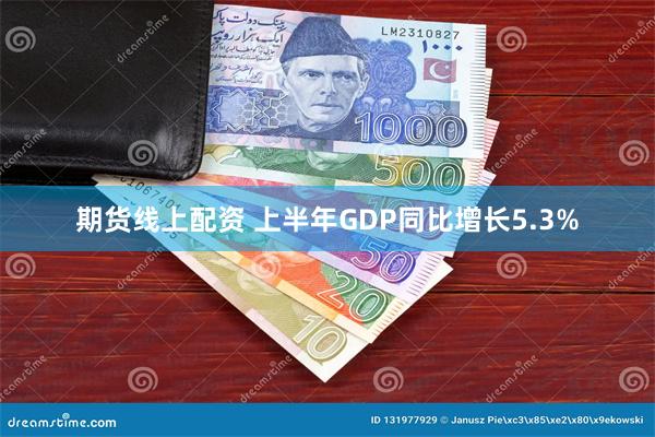 期货线上配资 上半年GDP同比增长5.3%