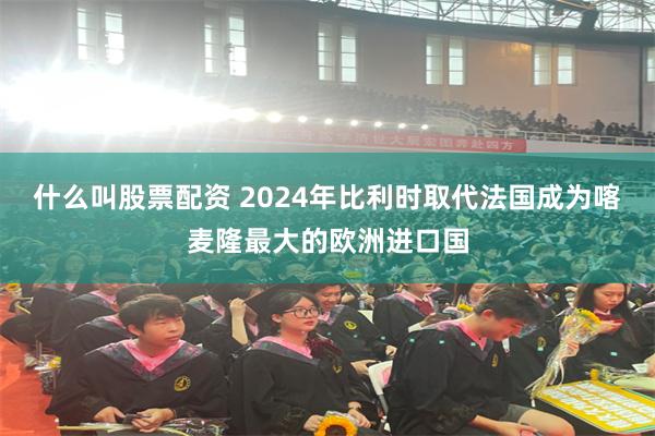 什么叫股票配资 2024年比利时取代法国成为喀麦隆最大的欧洲进口国