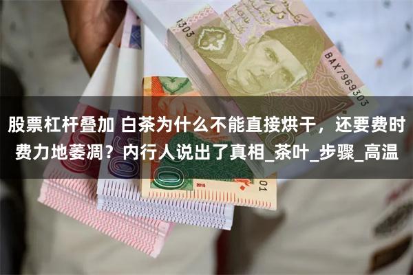 股票杠杆叠加 白茶为什么不能直接烘干，还要费时费力地萎凋？内行人说出了真相_茶叶_步骤_高温