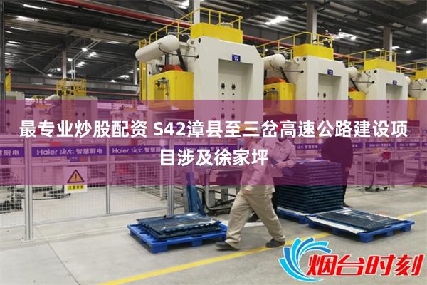 最专业炒股配资 S42漳县至三岔高速公路建设项目涉及徐家坪